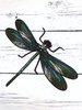 Sudenkorento - silitysmerkki